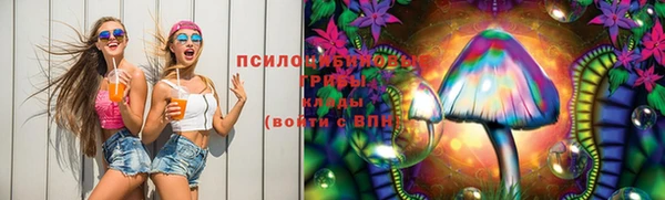 гашик Беломорск