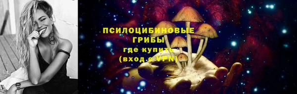 мдпв Балабаново