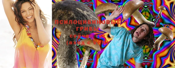 прущий лед Белокуриха